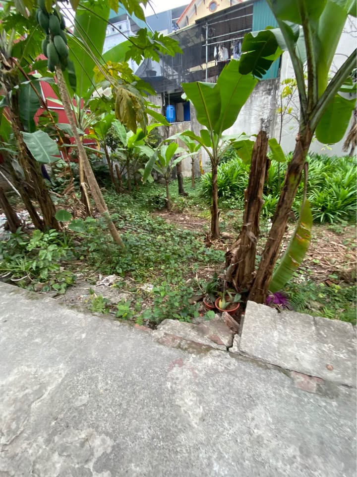 Đất nền Yên Nghĩa Hà Đông 66m² - Giá đầu tư hấp dẫn, thanh khoản nhanh!