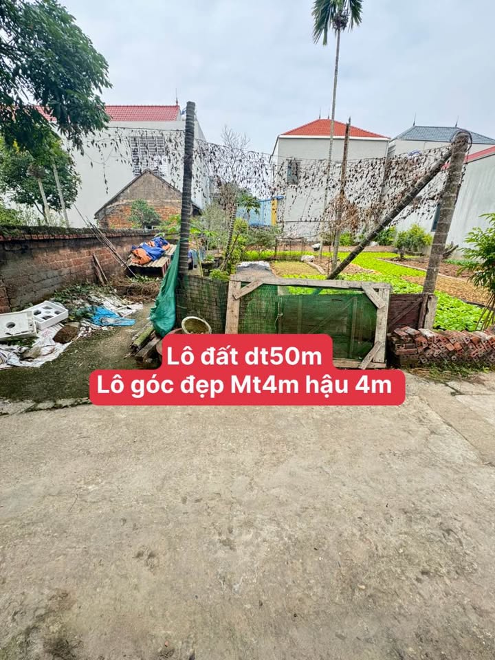 Bán lô đất góc Làng Hoa Tích Giang 50m² giá 1 tỷ - Sổ đỏ chính chủ!