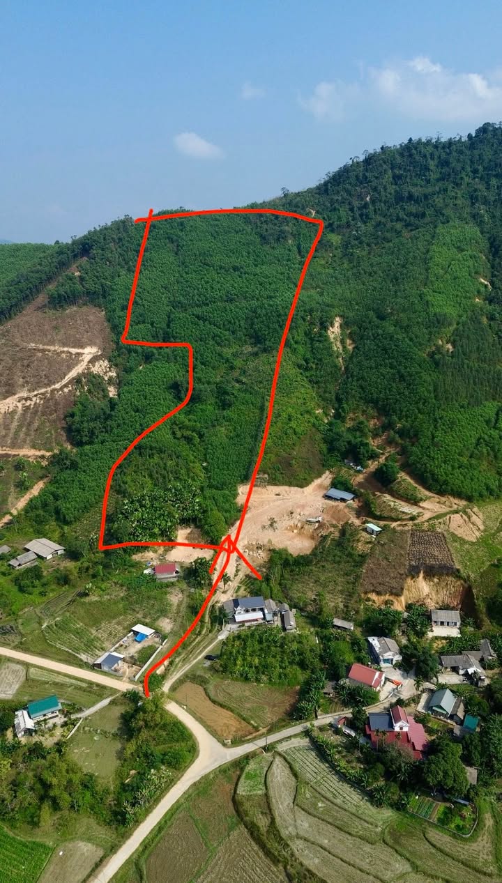 Farm 4ha tại xã Mỹ Lương, huyện Yên Lập, Phú Thọ - Giá 400 triệu - Sổ đỏ chính chủ!