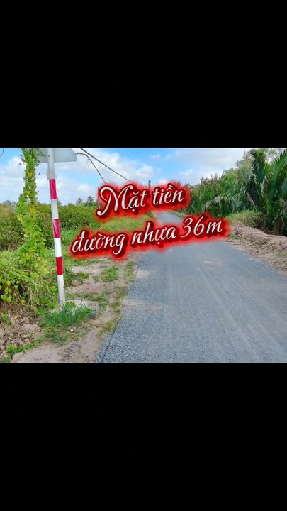 Đất nền 10.792,1m² tại Ấp Giồng Bàn, Trà Vinh - Sẵn sàng cho mọi dự án!