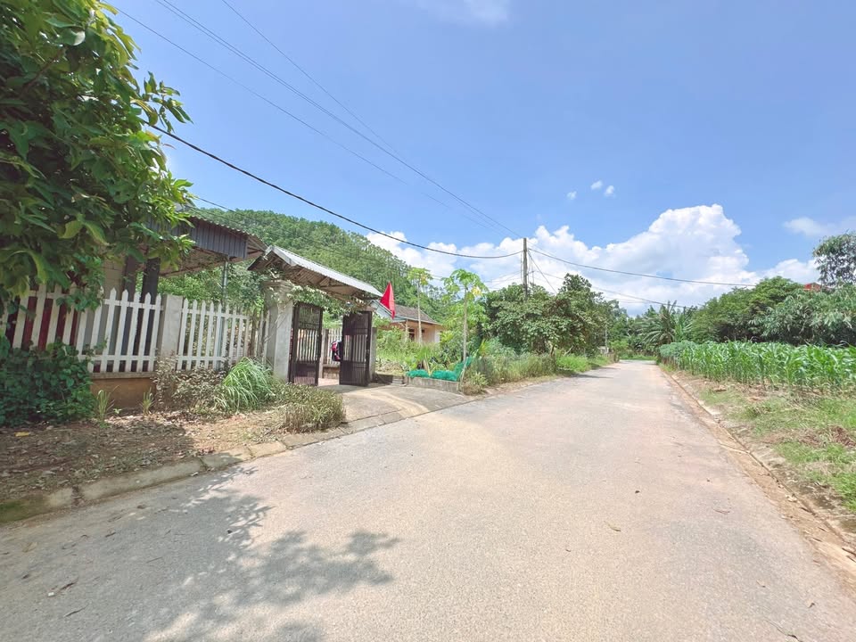 Đất thổ cư TĐC khu 1 xã Tân Phú 166m² giá 700 triệu - Đầu tư lý tưởng!