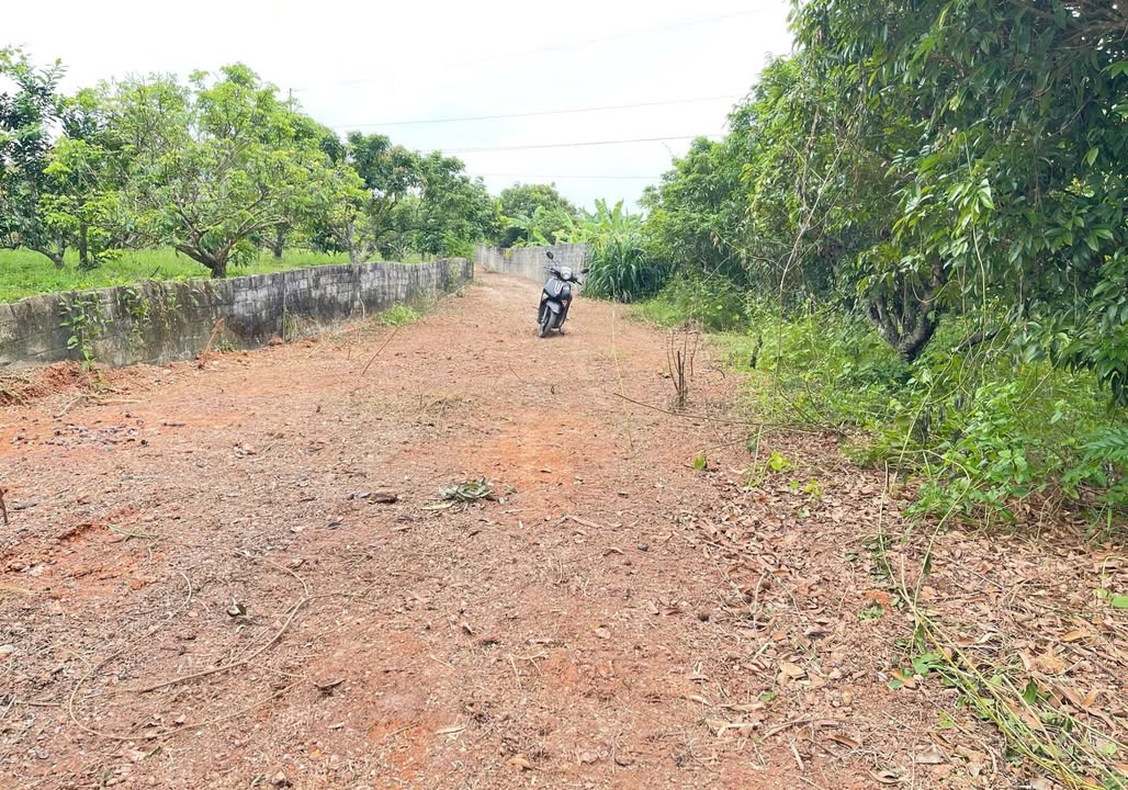 Đất nền Hồng Giang Lục Ngạn 1063m² giá 898 triệu - Cơ hội đầu tư hấp dẫn!