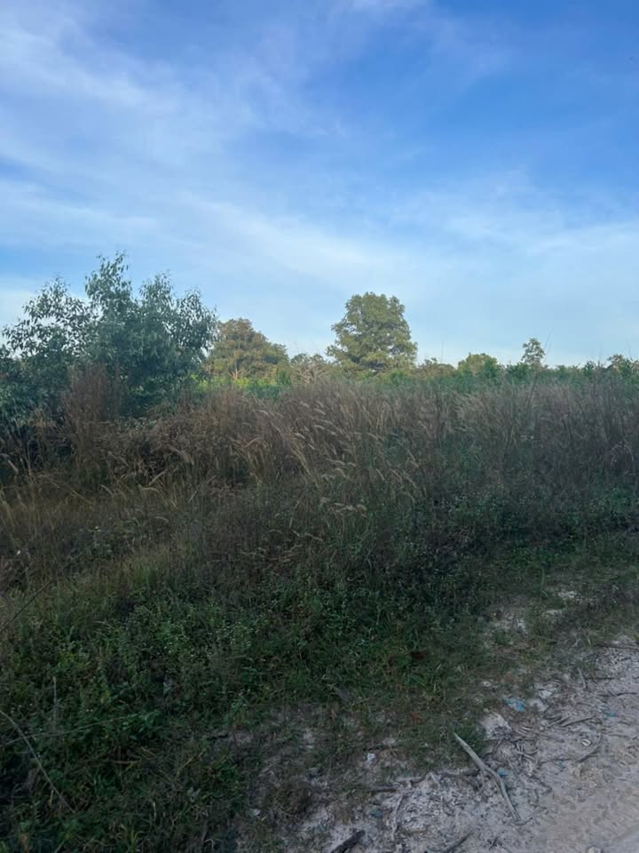 Đất nông nghiệp Cù Chính Lan, Tân Bình, La Gi 4516m² giá 3 tỷ - Đầu tư sinh lời ngay!