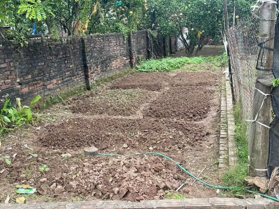 Nhà riêng Tráng Việt, Mê Linh 52m² giá 3 tỷ - Vị trí đẹp, dân cư đông đúc!