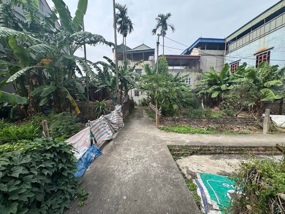 Đất Kim Sơn Gia Lâm 42m² giá 2.975 tỷ - Mặt tiền rộng, vị trí thuận lợi!