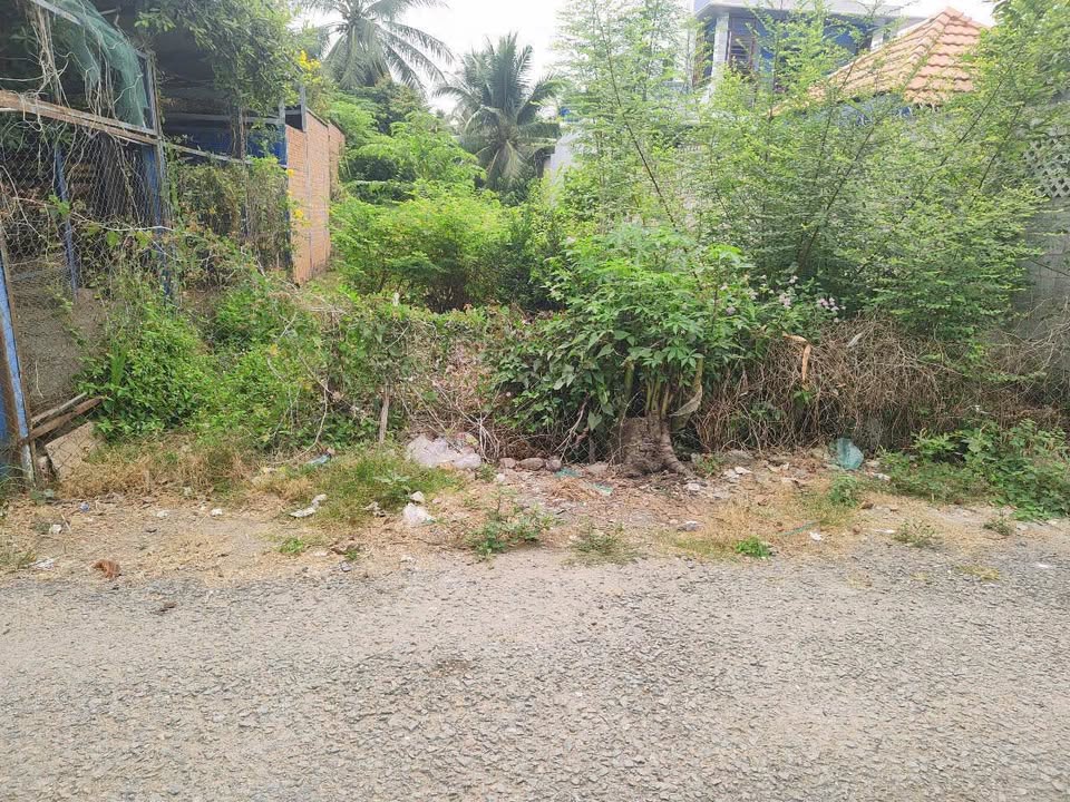 Đất nền 200m² tại Thị trấn Châu Thành, Bến Tre giá 999 triệu - Tiềm năng phát triển cao!