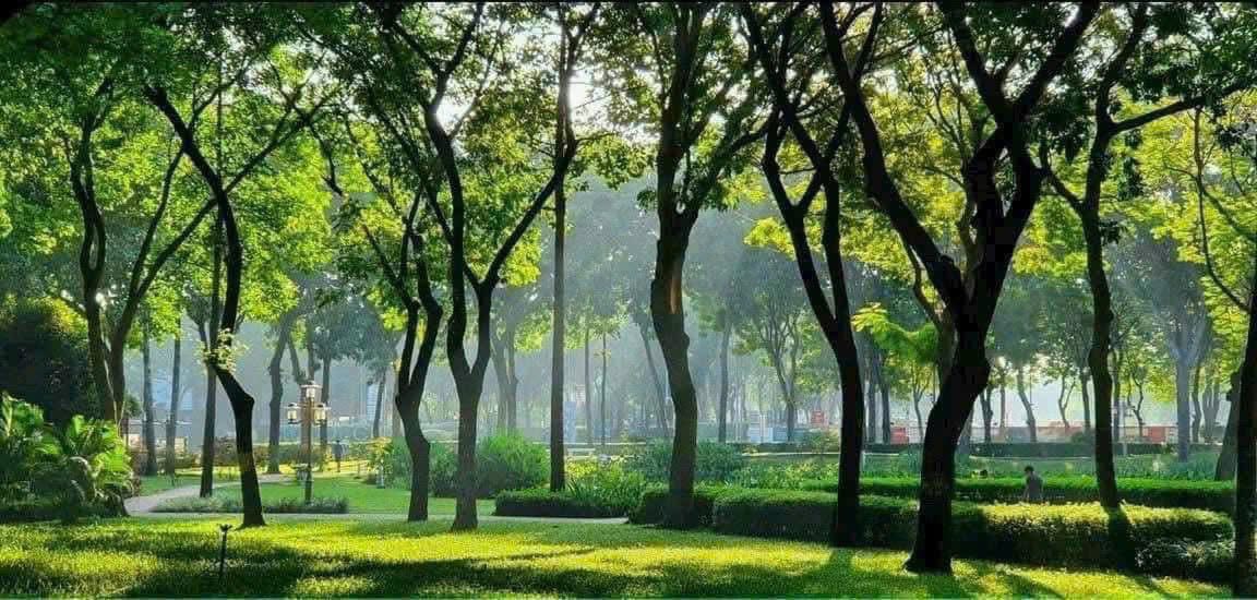 Đất Tái Định Cư Phú Mỹ 90m² giá 9.5 tỷ - Cơ hội đầu tư tuyệt vời!