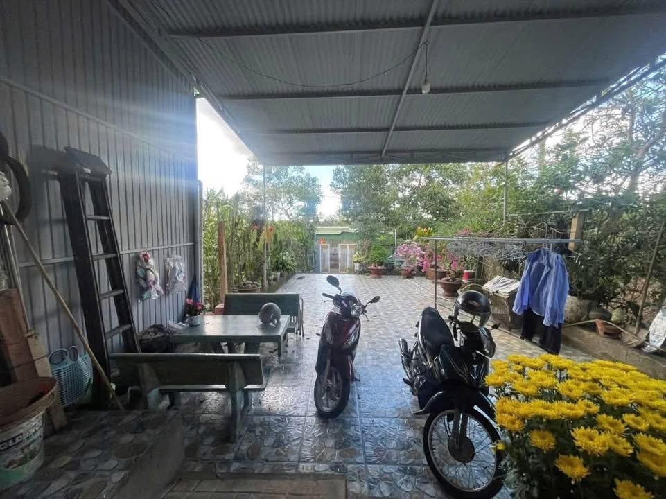 Nhà riêng mặt hẻm Bùi Thị Xuân, Đà Lạt 204m² giá 3.1 tỷ - Sổ đỏ chính chủ!