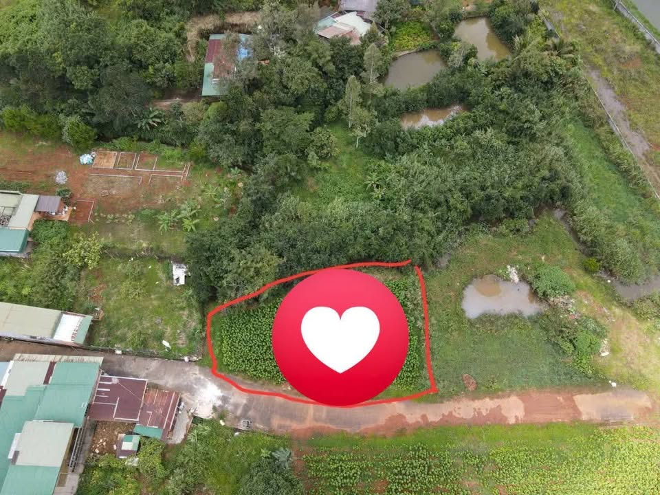 Đất Bảo Lộc 600m² giá 2.2 tỷ - Gần Suối Lớn, Đầu Tư Sinh Lời