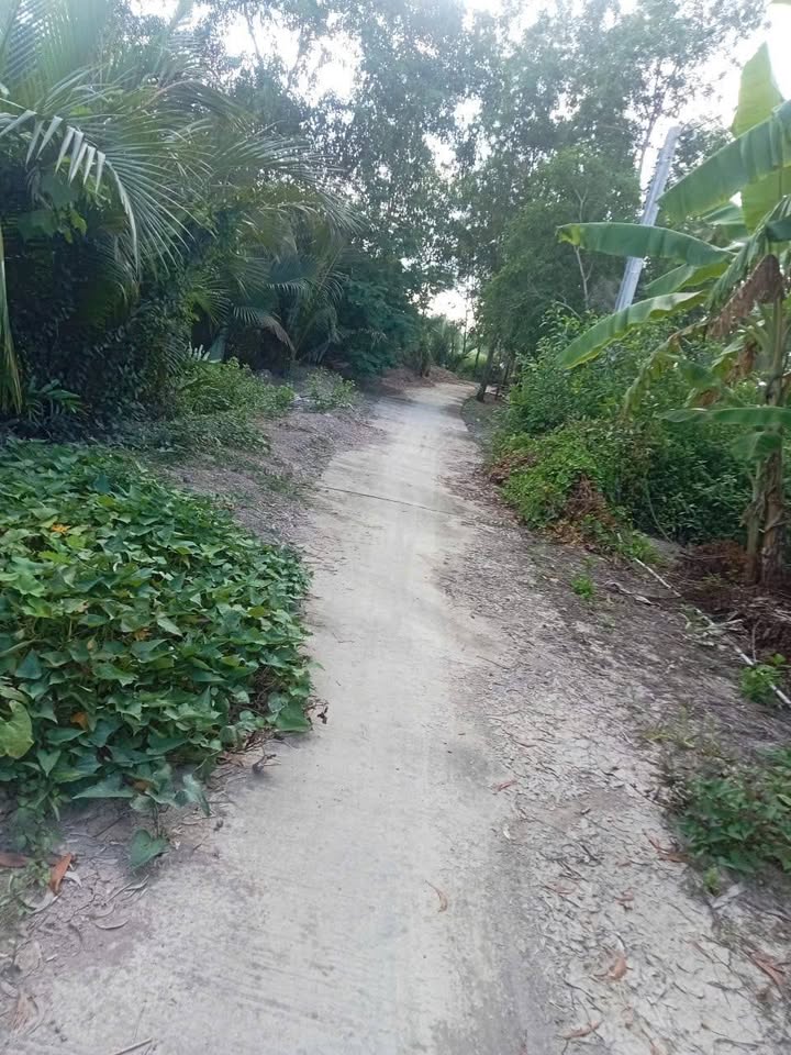 Đất nền chính chủ tại xã Khánh Hòa, U Minh, Cà Mau - 7 công, giá 700 triệu