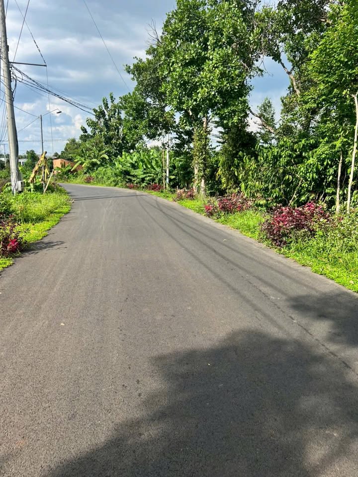 Đất nền Phú Vinh, Đồng Nai 180m² giá 450 triệu - Đường thông, sổ hồng chính chủ!