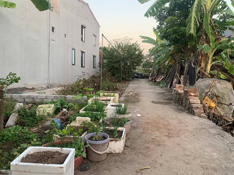 Đất nền Hồng Vân Thường Tín 55m² giá 3 tỷ - Cơ hội đầu tư hấp dẫn!