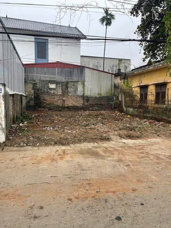 Đất nền Thọ Lộc, Phúc Thọ 100m² giá 5 tỷ - Kinh doanh siêu lợi thế!