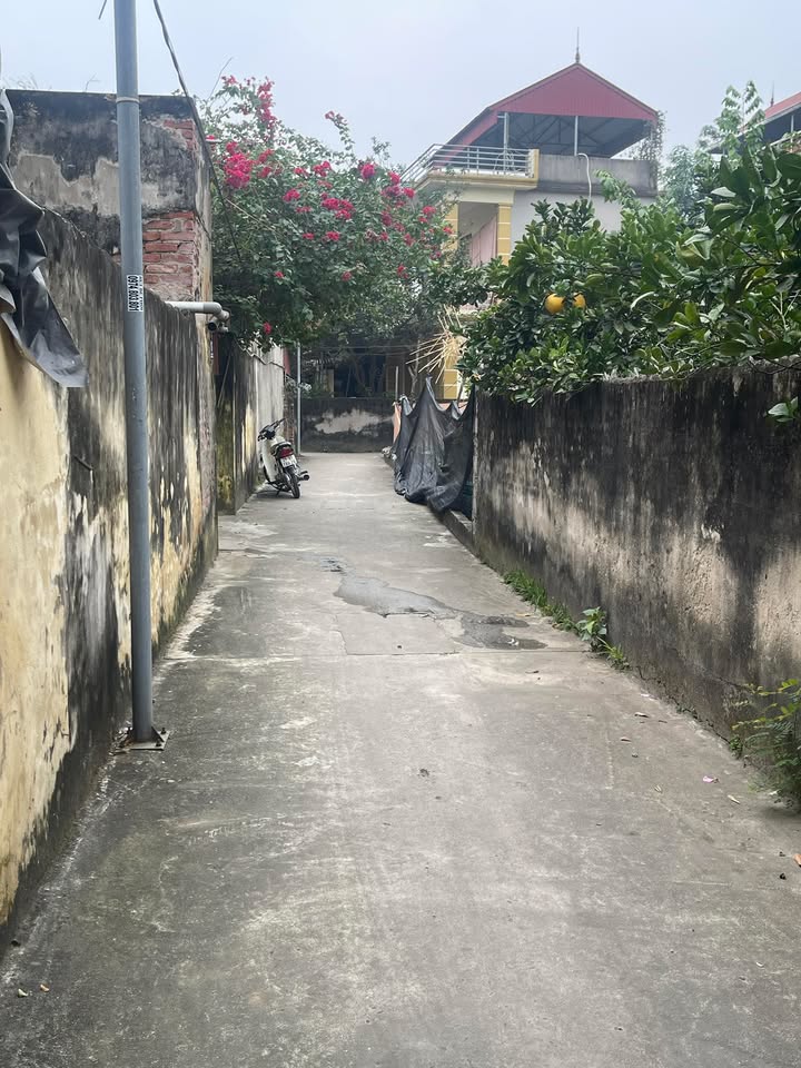 Đất Nghiêm Xuyên - Thường Tín 45m² giá 2.4 tỷ - Vị trí kinh doanh đắc địa!