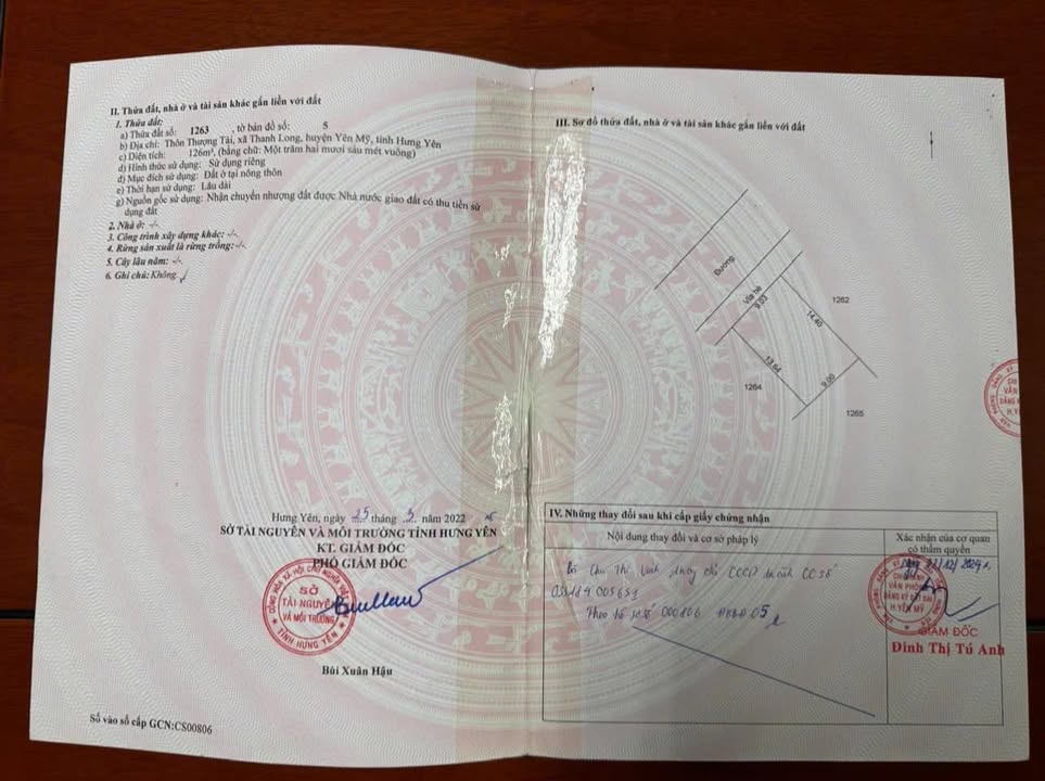 Đất nền Thanh Long - Yên Mỹ 126m² - Vị trí đắc địa, giá tốt!