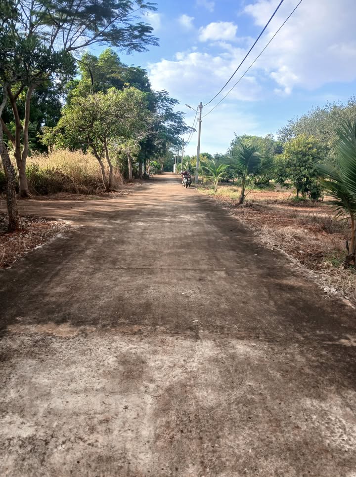 Đất nền Đồng Tâm, Đồng Phú 195m² giá 650 triệu - Bán gấp, sổ hồng chính chủ!