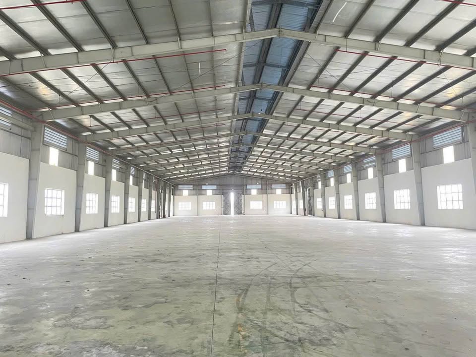Kho cho thuê Bình Tân 1600m² giá 136 triệu - Container đậu tận cửa!