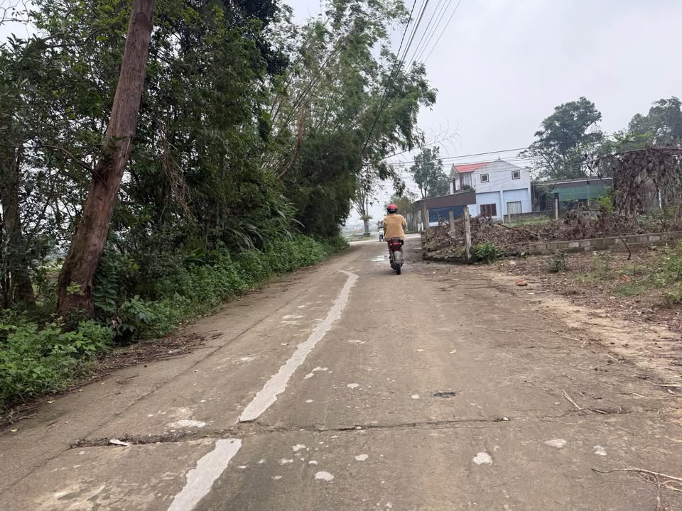 Đất Nghi Phong 460m² giá 5.65 tỷ - Tiềm năng chia lô cực đẹp!