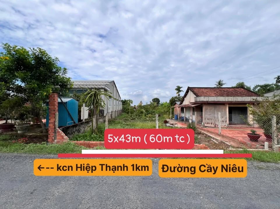 Đất thổ cư Gò Dầu Tây Ninh 420m² giá 1.7 tỷ - Chính chủ bán gấp!