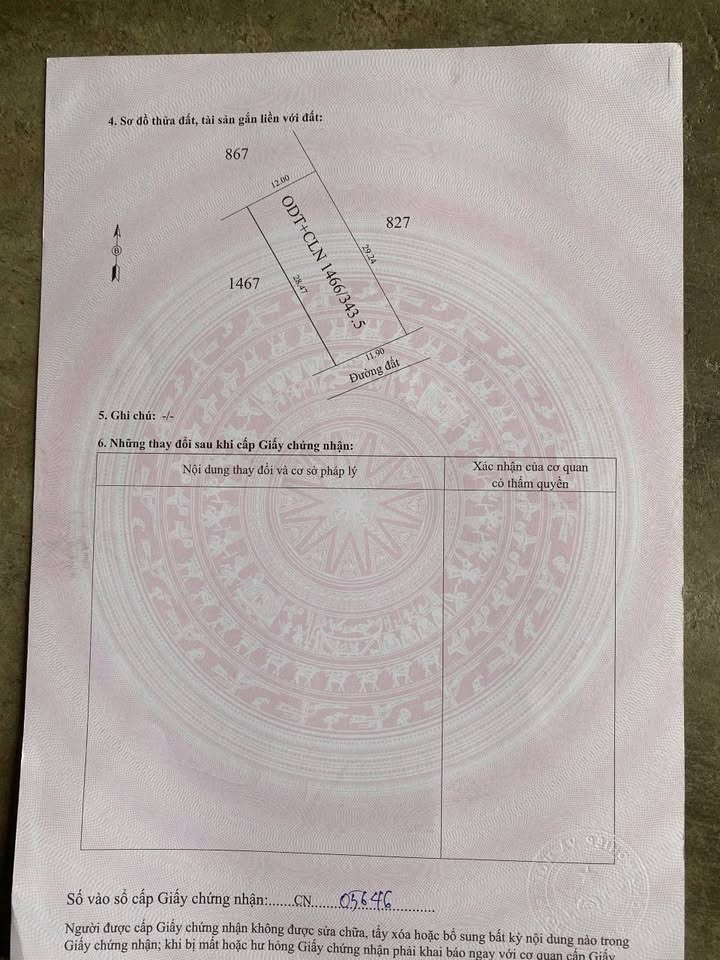 Đất nền An Thới, Trảng Bàng 960m² giá 1.6 tỷ - Cơ hội đầu tư tuyệt vời!