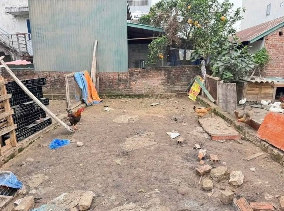 Đất thổ cư 30m² tại Quang Minh, Mê Linh giá chỉ 2.1 tỷ - Sổ đỏ chính chủ!