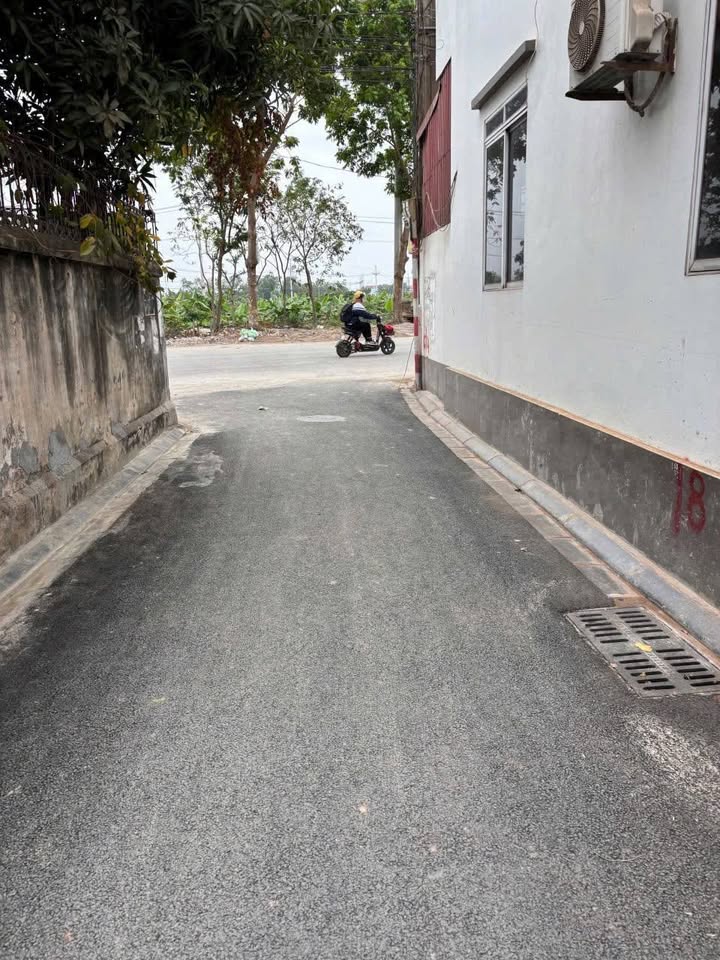 Đất 55m² Thụy Lâm, Đông Anh giá 2.5 tỷ - Cần bán gấp, vị trí đẹp!