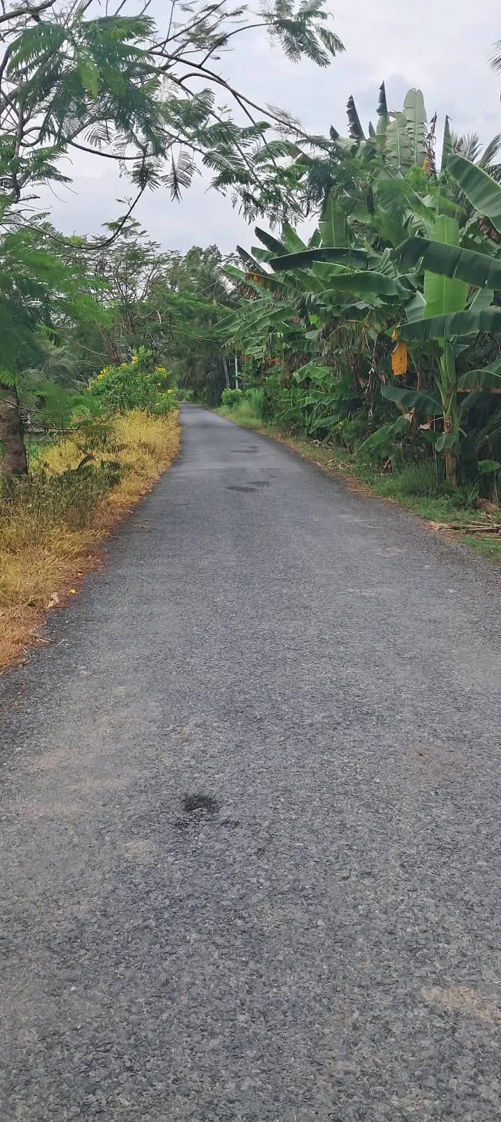 Đất thổ cư Bình Ninh, Chợ Gạo, Tiền Giang 6.3m² giá 200 triệu - Sổ đỏ chính chủ, đầu tư sinh lời!