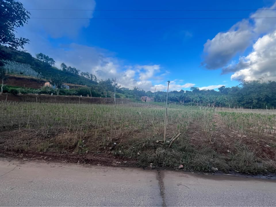 Đất nền chính chủ xã Nam Ban 170m² giá chỉ 650 triệu - Đầu tư sinh lời ngay!