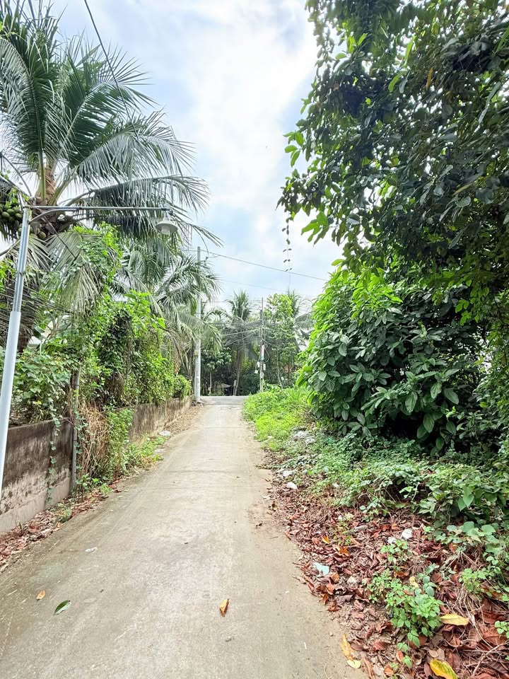 Đất Đạo Thạnh 100m² giá 1.25 tỷ - 2 mặt tiền thoáng khí gần QL50