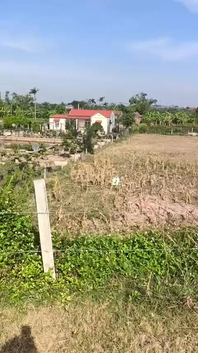 Đất thổ cư Nghĩa Bình 365.24m² giá 3.654 tỷ - Cơ hội đầu tư sinh lời!