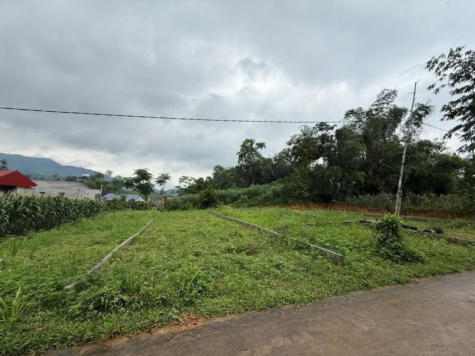 Đất nền đẹp tại xã Võ Miếu, Thanh Sơn - Diện tích 174m² - Pháp lý rõ ràng!