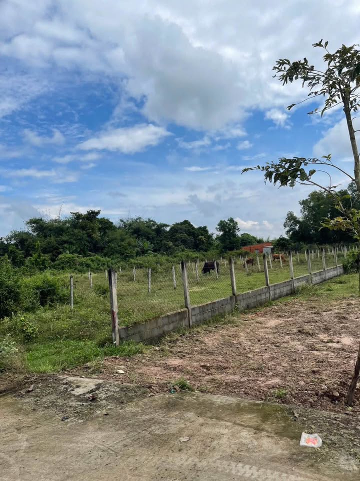 Đất thổ cư 110m² tại Thái Mỹ, Củ Chi - Sổ hồng chính chủ, giá chỉ 1 tỷ!