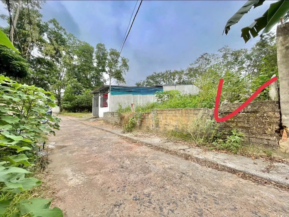 Đất nền Thanh Vân, Tam Dương 100m² giá 800 triệu - Cơ hội đầu tư hấp dẫn!