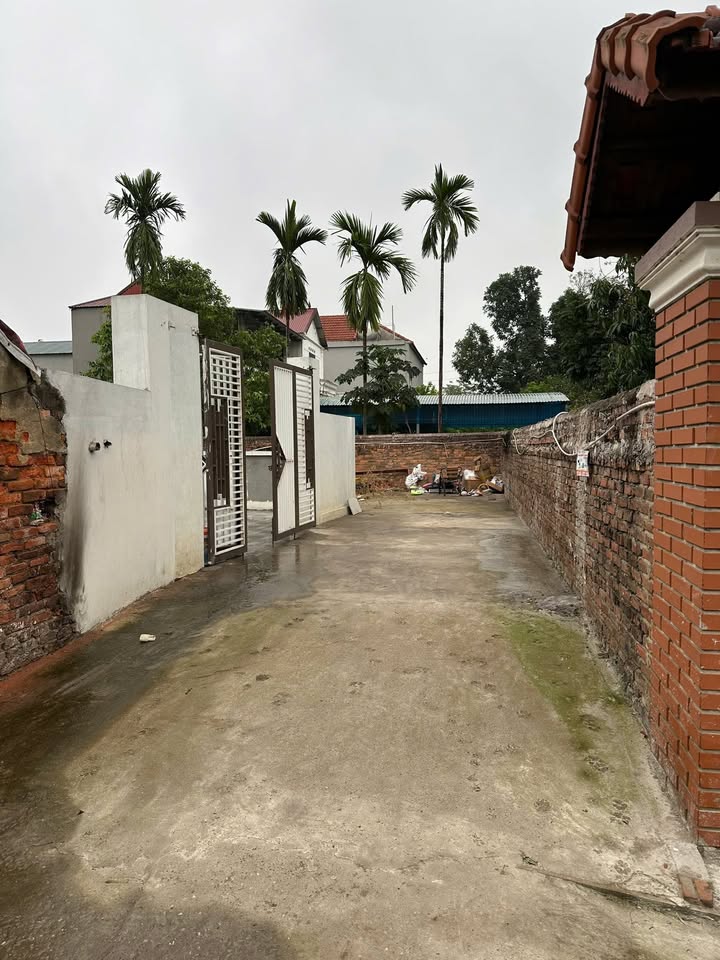 Đất nền Nam Thanh Trù Vĩnh Yên 273m² giá 3.x tỷ - Cơ hội đầu tư hấp dẫn!