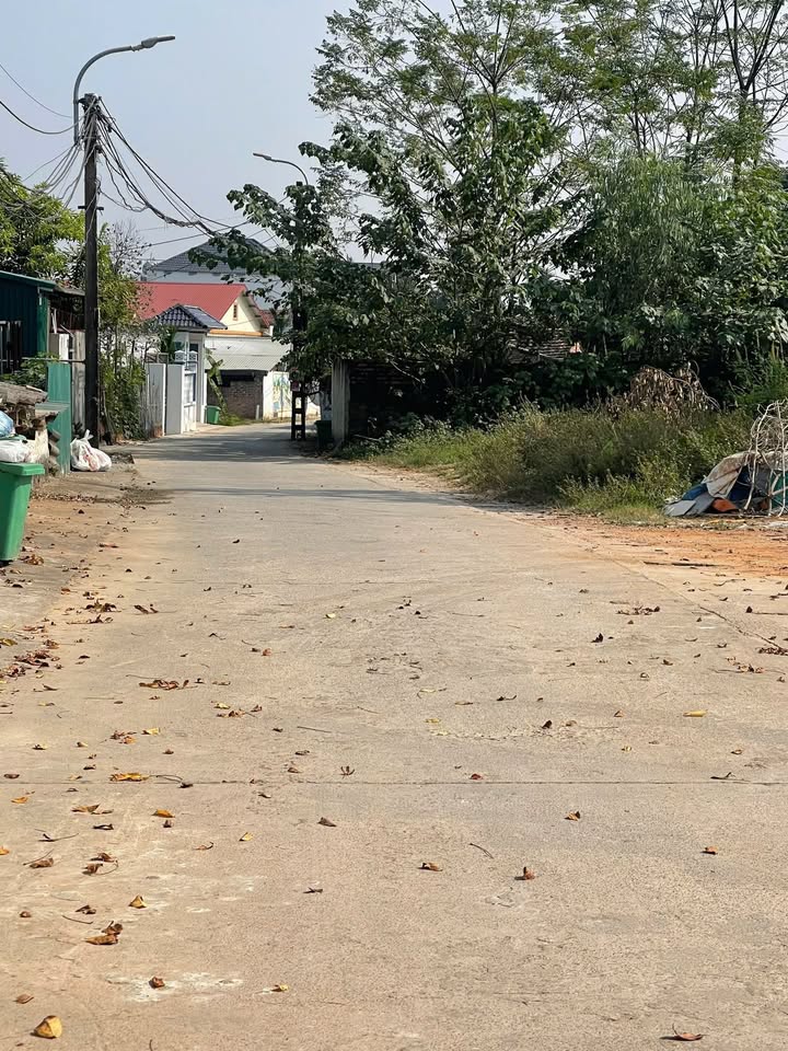 Đất thổ cư 120m² tại Nhân Mỹ, Thanh Vân - Đầu tư sinh lời tốt!