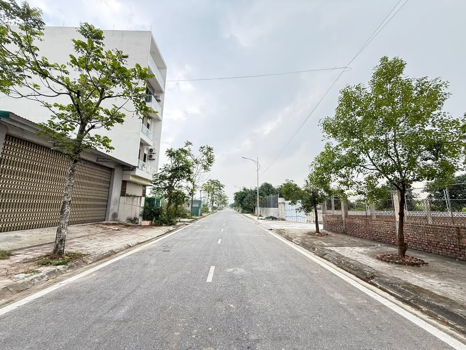 Đất nền LK14 Kỳ Đồng Thái Bình 81m² giá 2.6 tỷ - Cơ hội vàng không thể bỏ lỡ!