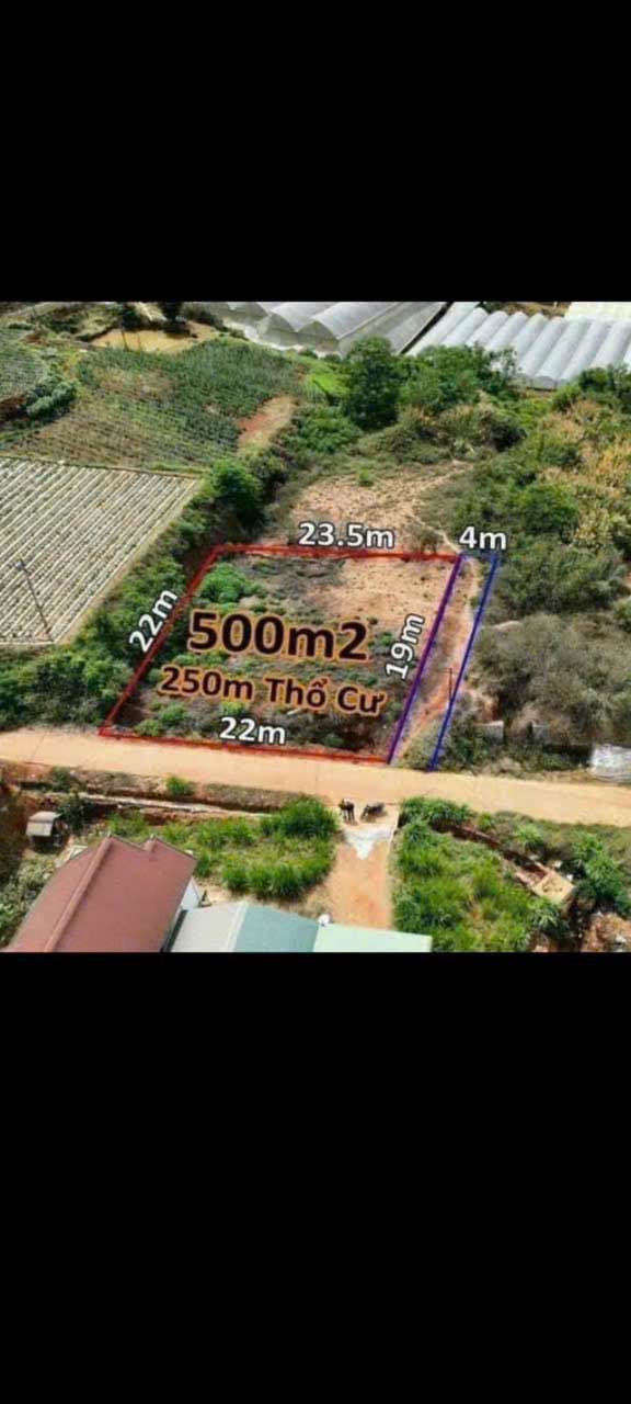 Đất thổ cư 250m² tại Xuân Trường, Đà Lạt - Đường ô tô, pháp lý rõ ràng