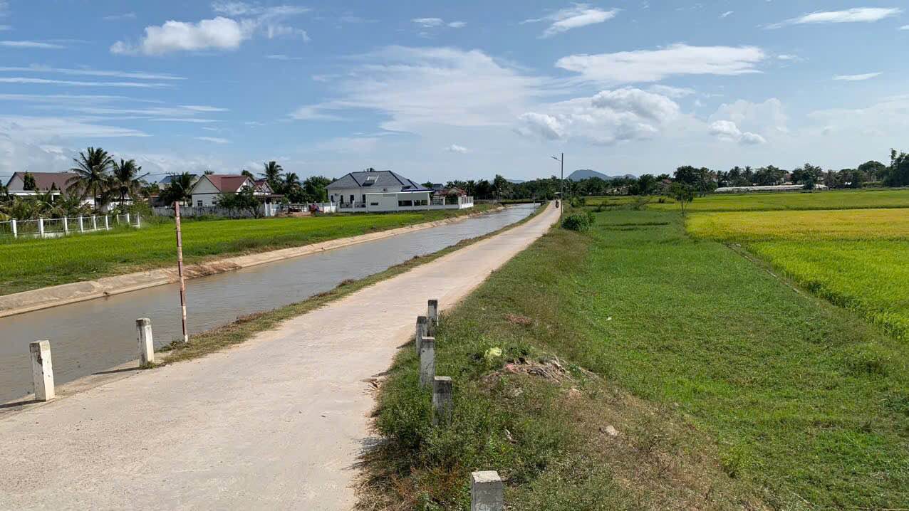 Đất lúa 1082m² phường Đô Vinh giá 130 triệu - Cơ hội đầu tư hấp dẫn!