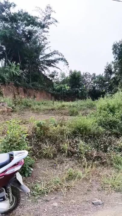 Đất nền 900m² tại ấp 7 Gia Canh, giá 900 triệu - Đầu tư sinh lời ngay!