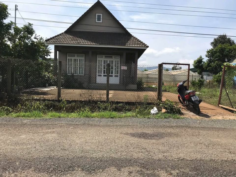 Nhà sân vườn rộng rãi tại Tà Nung, Đà Lạt 1520m² giá 11 tỷ - Đầu tư lý tưởng!