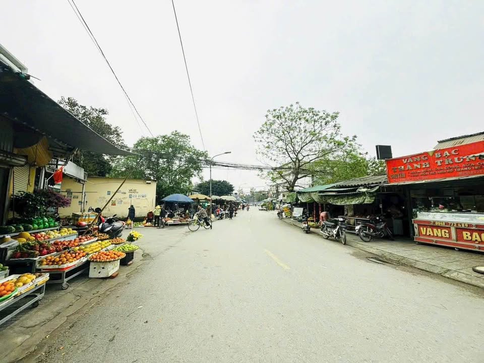 Đất mặt đường Nguyễn Trung Ngạn, TP Vinh 223m² giá 17 tỷ - Cơ hội đầu tư tuyệt vời!