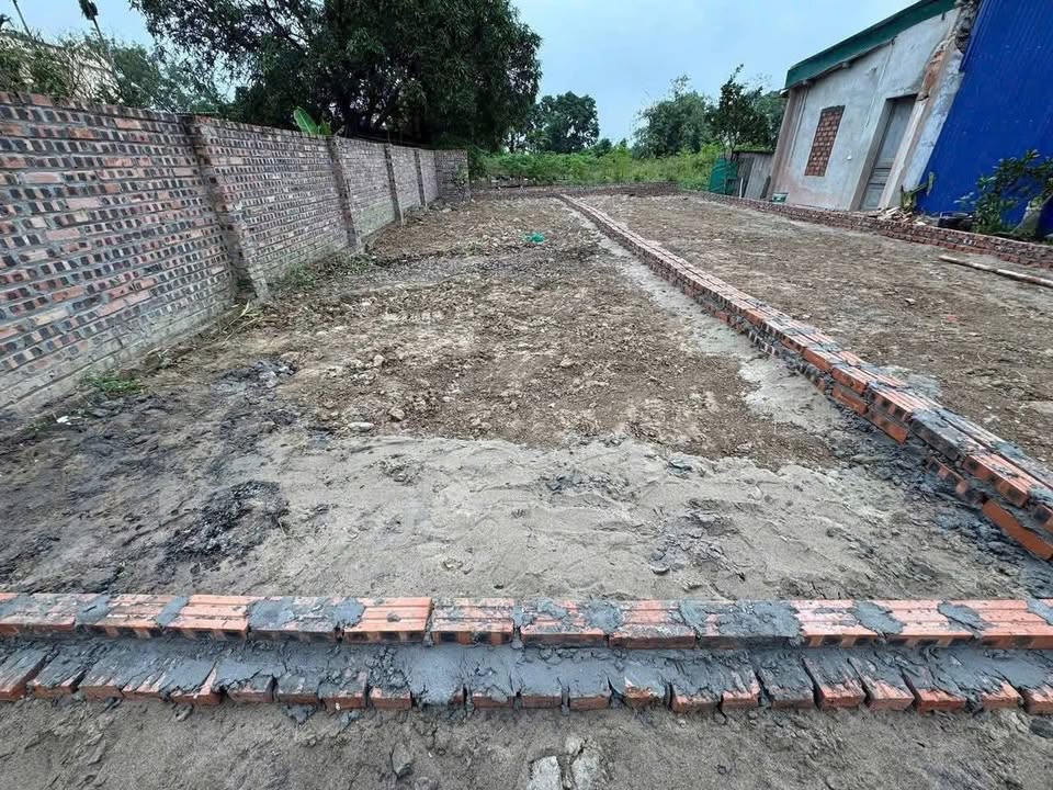 Đất nền Cẩm Quan, Cẩm Xá, Mỹ Hào 63,5m² giá 1 tỷ - Đầu tư an toàn!