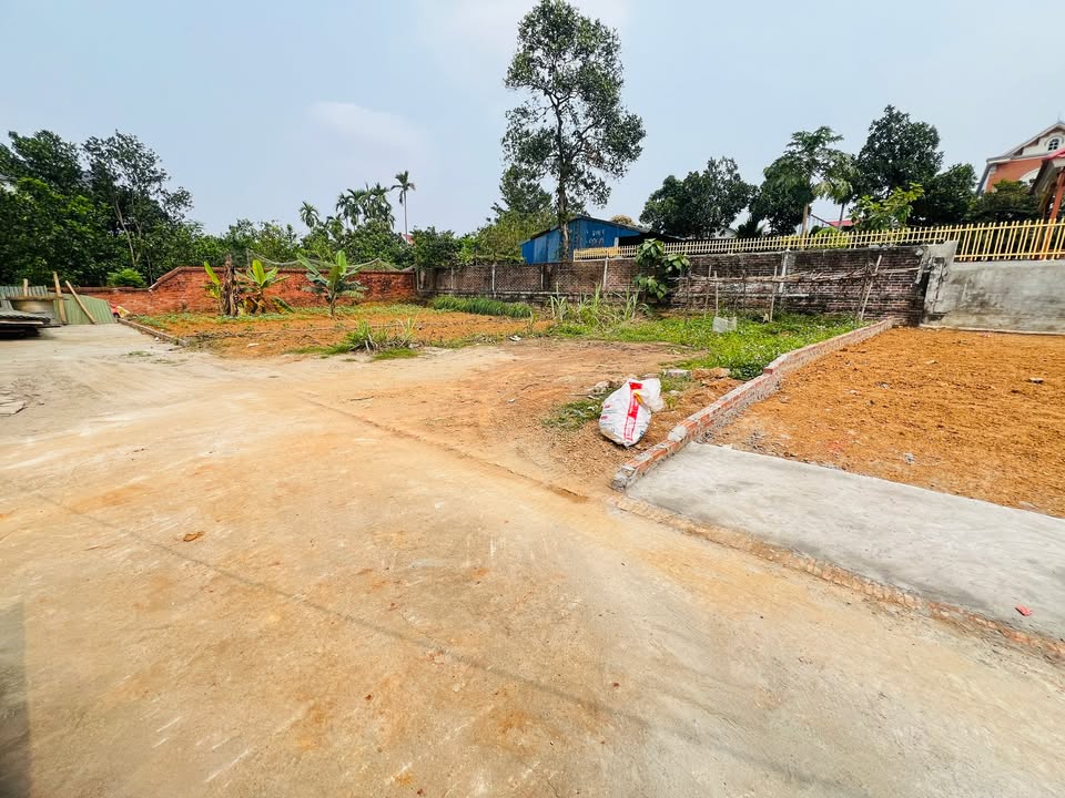 Đất nền Phú Cát Quốc Oai 100m² giá 3 tỷ - Sổ đỏ chính chủ, cơ hội đầu tư hiếm có!