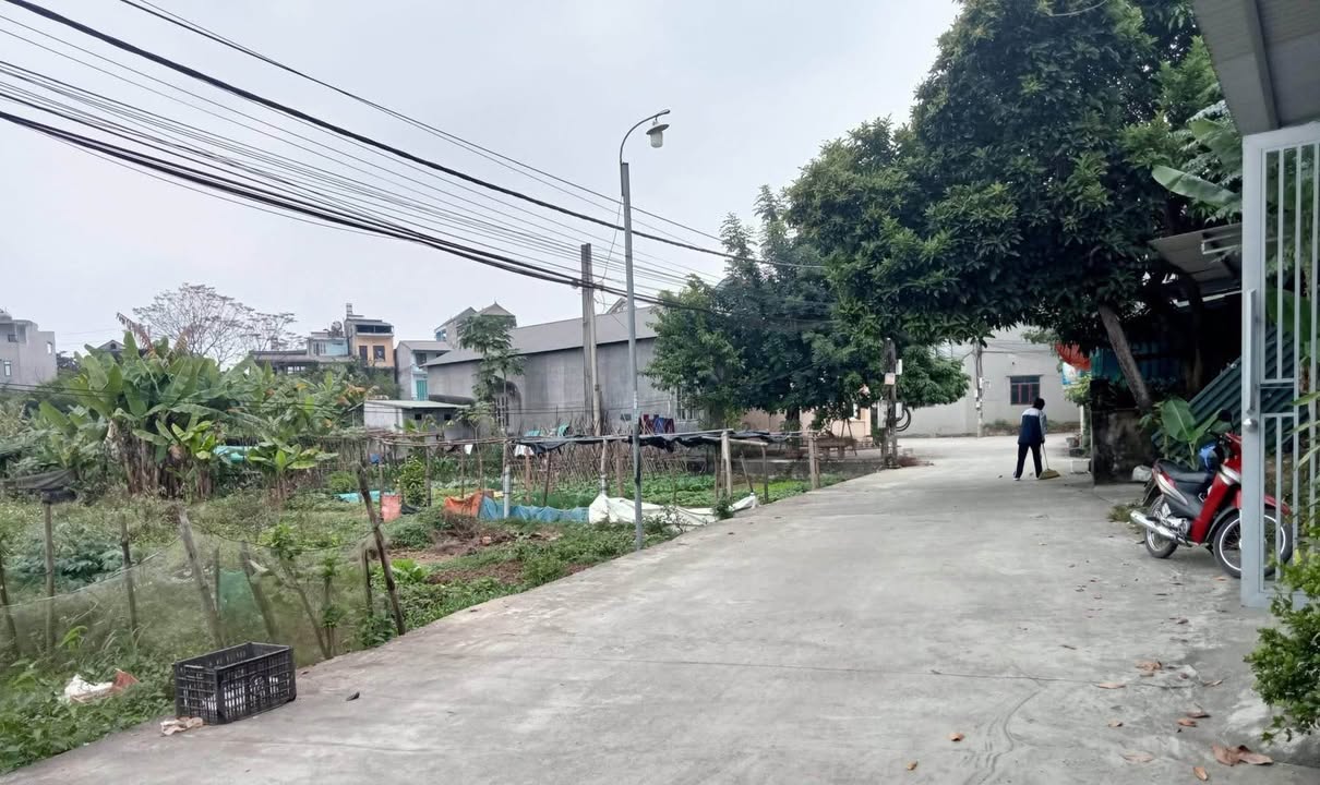 Đất thổ cư Tổ 2 Ỷ La 112m² - Giá tốt hiếm có, vị trí trung tâm!