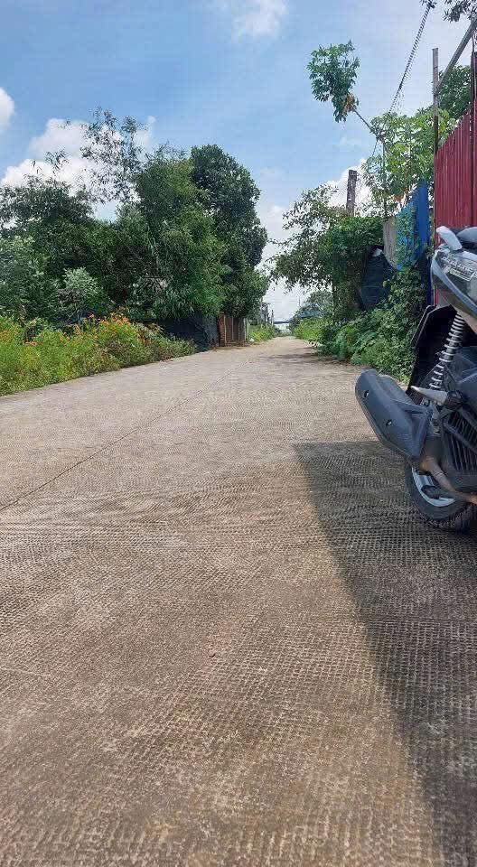 Đất Biên Nhận Riêng Long Bình 110m² giá 350 triệu - Cơ hội đầu tư hấp dẫn!