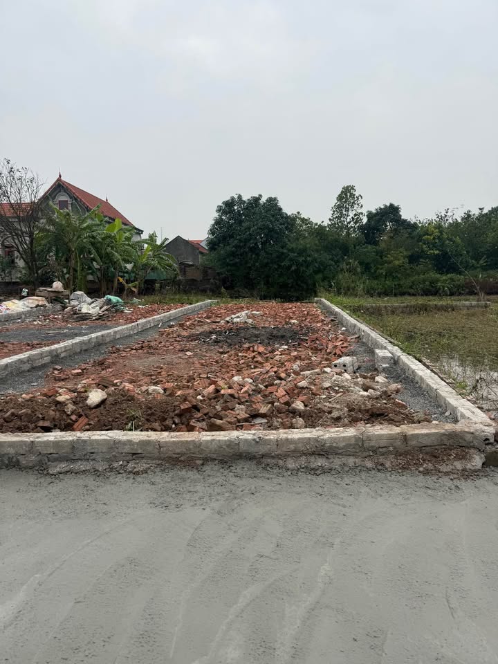 Đất nền 50m² tại thị trấn Phú Xuyên - Giá chỉ 1 tỷ - Hướng Đông, phong thủy tốt!