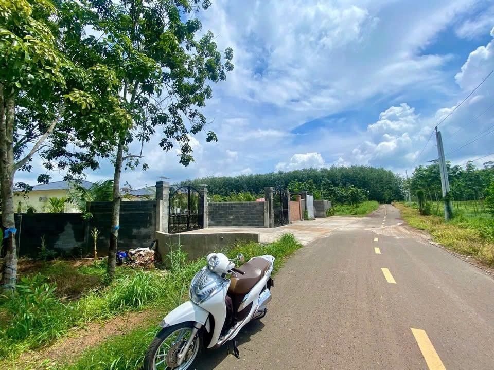 Đất nền 280m² tại khu công nghiệp Minh Hưng - Cơ hội đầu tư hấp dẫn!