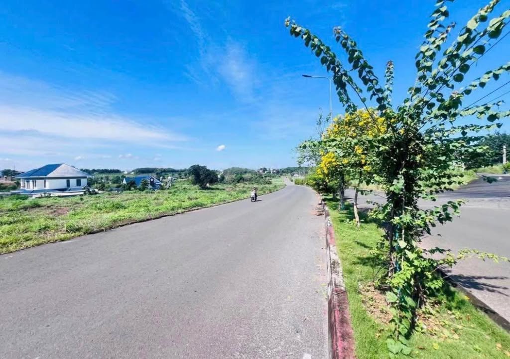 Đất nền mặt tiền đường 32m Tân Bình 5187.9m² giá 3 tỷ - Tiềm năng đầu tư vượt trội!