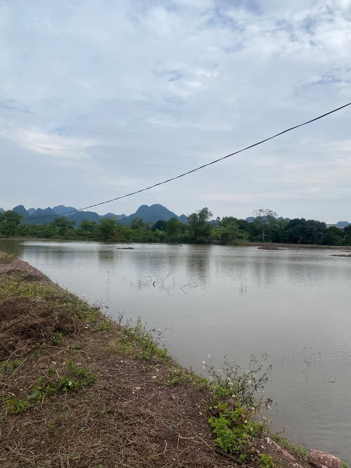 Đất nền Thạch Bình Nho Quan 1800m² giá 1.6 tỷ - Cảnh đẹp bên hồ Tiền Phong!