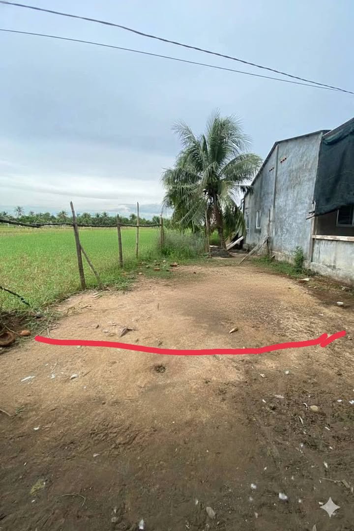 Đất nền An Bình Tây, Ba Tri 968m² chỉ 250 triệu - Cơ hội đầu tư tuyệt vời!